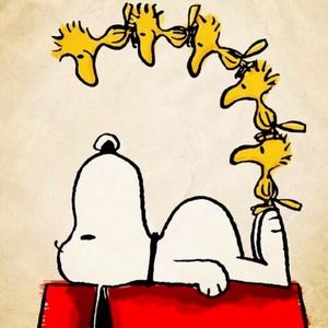 Meet your Posher, Deanna